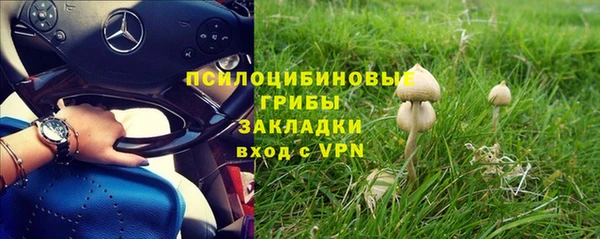 гидропоника Абаза