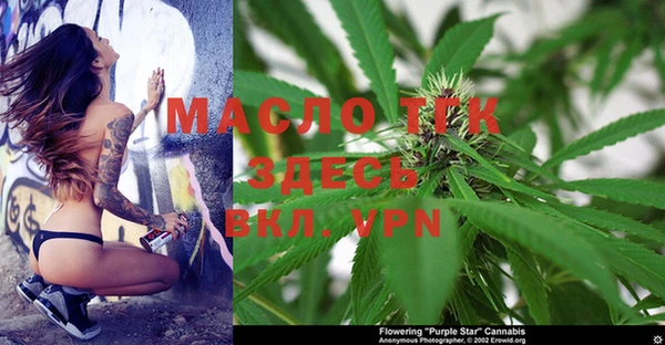 гидропоника Абаза