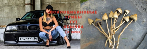 гидропоника Абаза