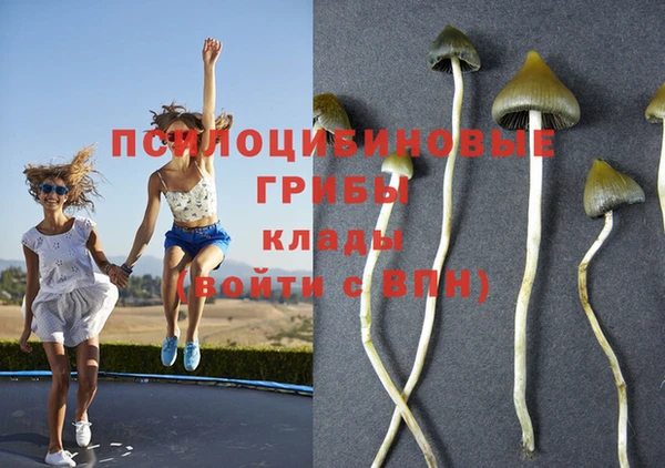 мяу мяу кристалл Абдулино