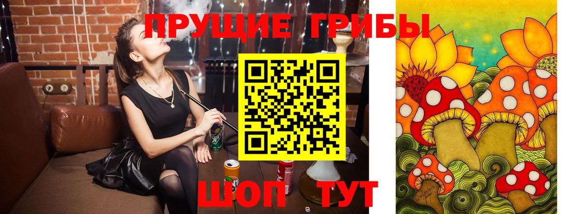 Псилоцибиновые грибы мицелий Сафоново